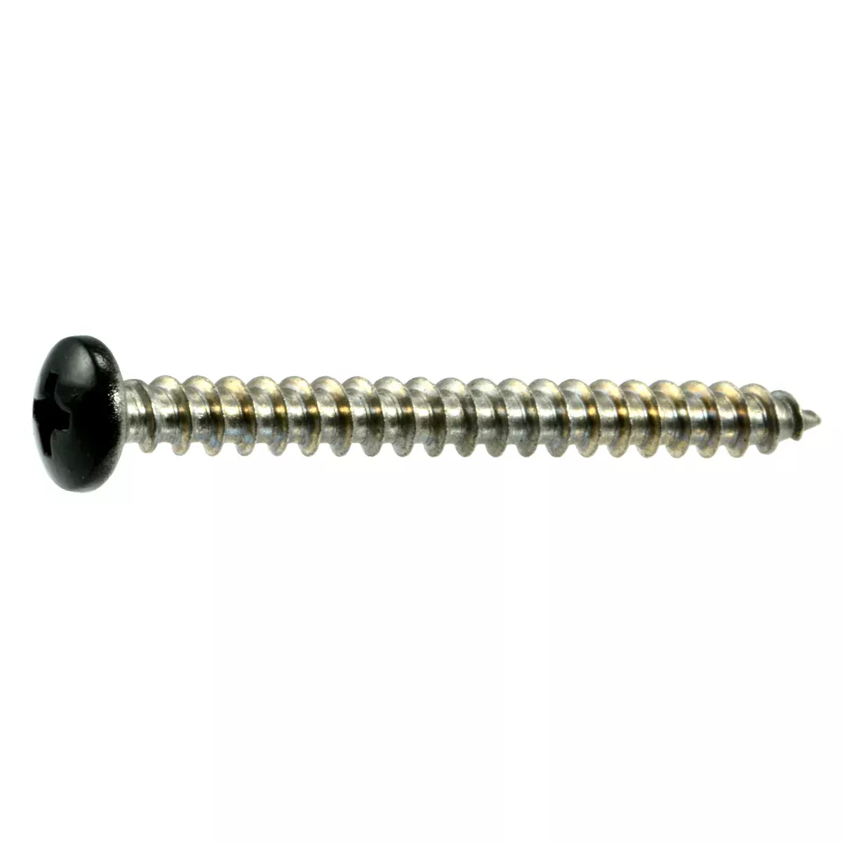 #10 x 2" Black Painted 18-8 Stainless Steel Phillips Pan Head Sheet Metal Screws
