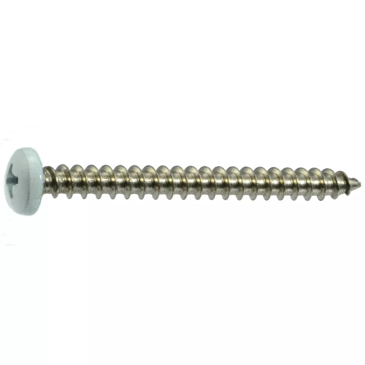 #10 x 2" White Painted 18-8 Stainless Steel Phillips Pan Head Sheet Metal Screws