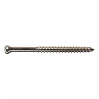 #9 x 3" 304 Stainless Steel Star Drive Trim Head Saberdrive Deck Screws